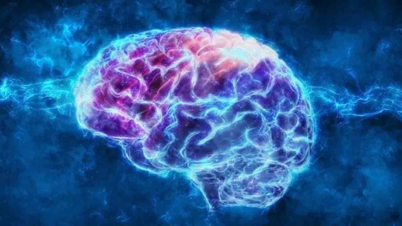 I danni cerebrali sono stati provati dalla ricerca | Web Source