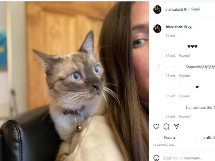 Bianca Balti con il suo micio (Instagram) 3.5.2022 newstv.it