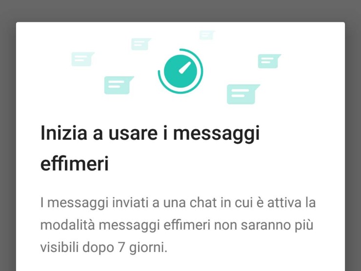 Whatsapp Messaggi Effimeri (fonte web) 14.06.2022-newstv.it (1)