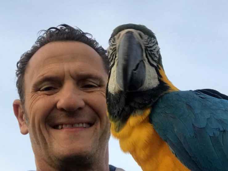 Il pappagallo di Enzo Salvi è stato vittima di una aggressione | Web Source