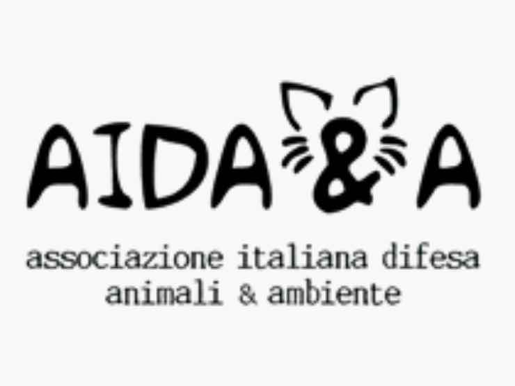 L'associazione che ha dichiarato guerra a Porco Cane | Web Source