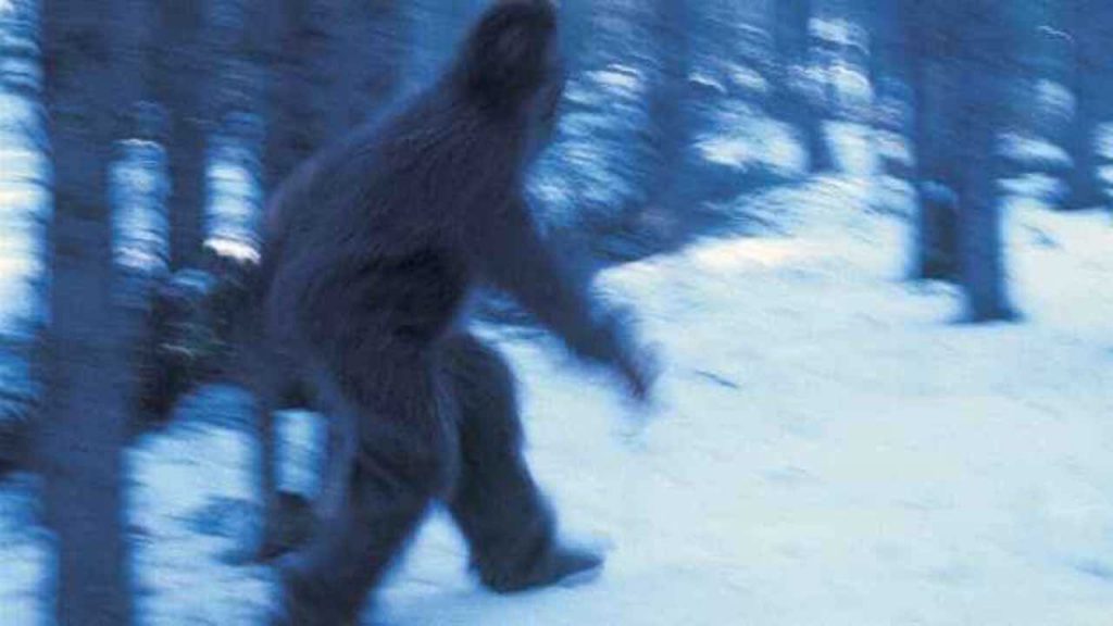 Bigfoot