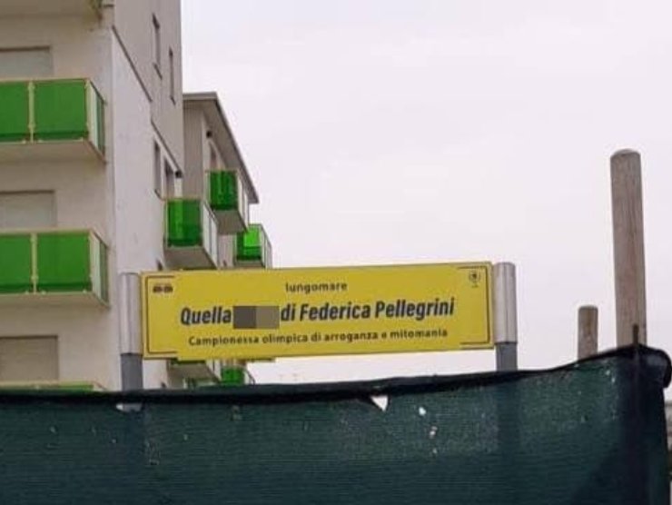 Federica Pellegrini insulto (2)