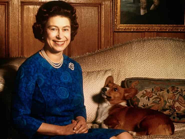 Regina Elisabetta II con il suo cane (fonte: gettyimages)