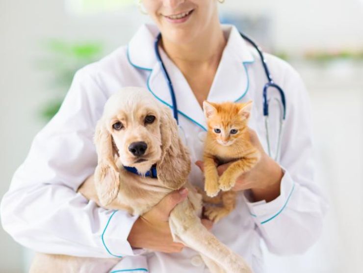 Ospedale veterinario