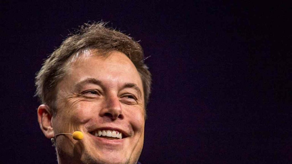 Elon Musk (web source)