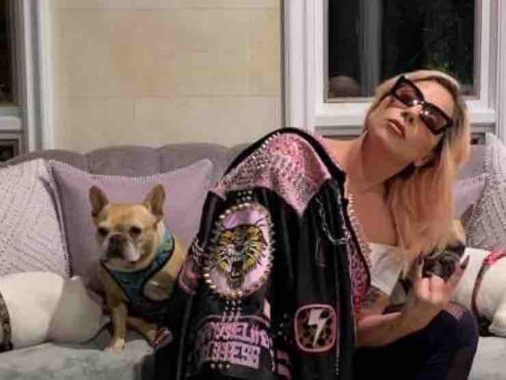 Koji e Gustav, gli amatissimi bulldog di Lady Gaga | Web Source