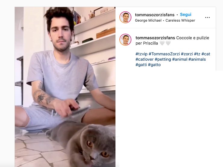 Tommaso Zorzi, Screenshot Instagram, 08.05.2022, newstv.it