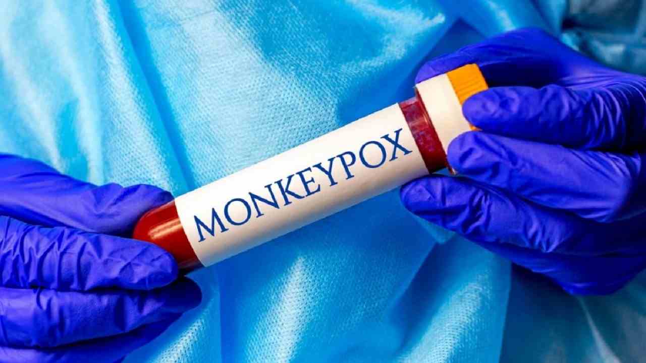 Vaiolo delle scimmie: ipotesi quarantena per chi è affetto o a stretto contatto