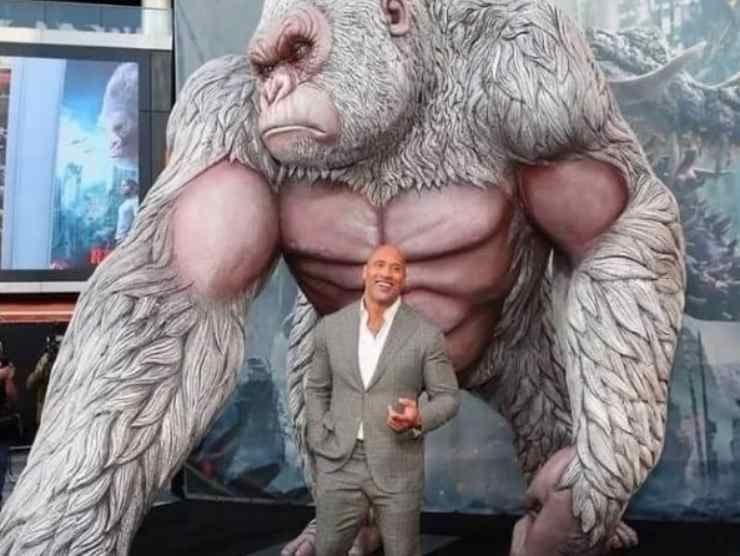 The Rock con King Kong (Instagram) 5.7.2022 newstv