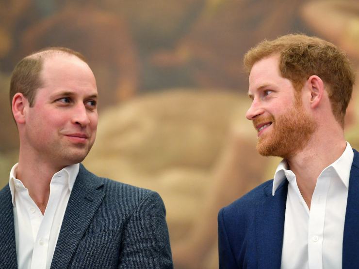 Harry e William (fonte web) 03.08.2022-newstv.it