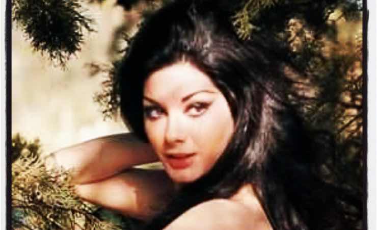 Edwige Fenech, che fine ha fatto?