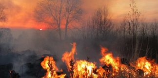 Grave incendio