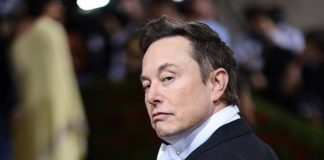 Elon Musk perdita soldi