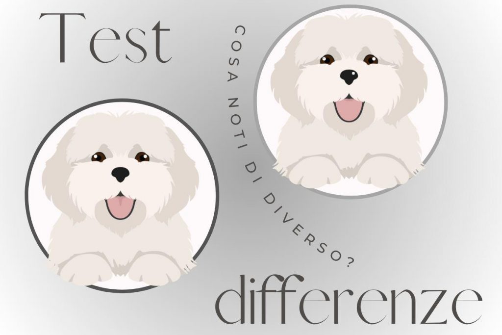 test cane differenza