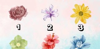 test fiori segreti scopri