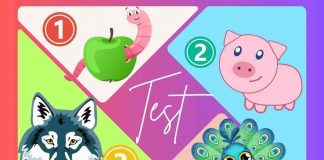 test uomini non sopporti