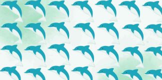test delfini intruso
