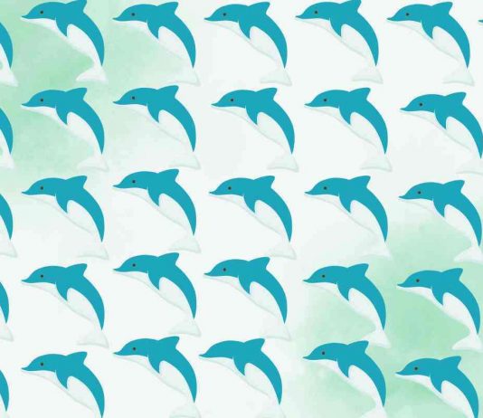 test delfini intruso