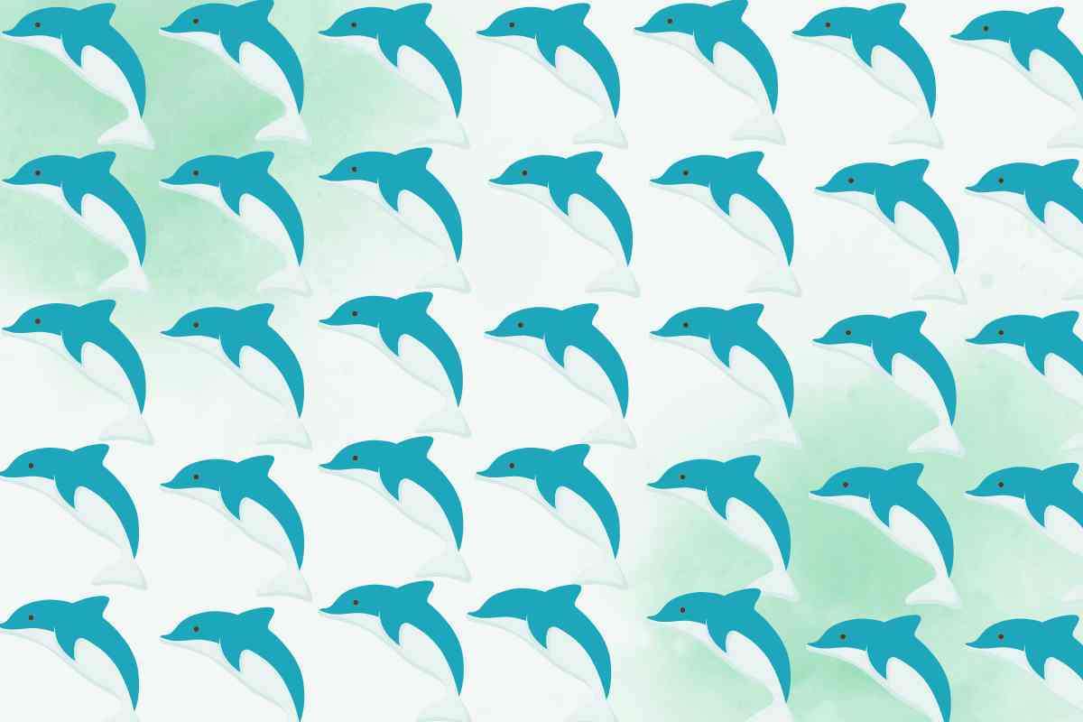 test delfini intruso